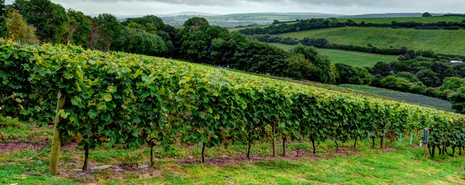 Treglos Luxury Hotel